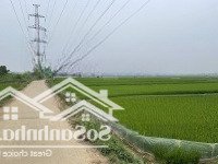 Lô Đất Bám Đường Oto Chạy, Gần Đường Tỉnh Lộ, Cách Mỹ Đình Hơn 20Km Giá Đầu Tư Rẻ Nhất Thị Trường