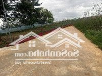 Siêu Phẩm 1000M2 Tặng Nguyên Biệt Thự Siêu Đẹp Tại Trung Tâm Khu Bàn Cờ Xã Liên Hiệp, Chỉ 5,1 Tỷ