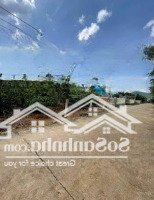 Siêu Phẩm 1000M2 Tặng Nguyên Biệt Thự Siêu Đẹp Tại Trung Tâm Khu Bàn Cờ Xã Liên Hiệp, Chỉ 5,1 Tỷ