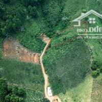 CƠ HỘI VÀNG GIÁ TỐT ĐẦU TƯ! CHÍNH CHỦ BÁN LÔ ĐẤT ĐẸP TẠI XÃ LÁT, HUYỆN LẠC DƯƠNG