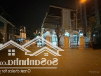 Bán Lô Góc Biệt Thự 3 Mặt Đường, Mặt Đường Sa Đôi Đại Mỗ, Nhà Hoàn Thiện Mới Tinh, Víp Thang Máy