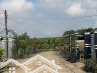 Bán Đất Tại Xã Bàu Cạn, Long Thành, Đồng Nai, Giá Cực Chất 7,4 Tỷ, 1176M2