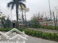 Bán Đất Dịch Vụ Cổng Đồng Mặt Đường Lê Trọng Tấn, Ngã Tư Vòng Xuyến Parkcity, Đắc Địa Kinh Doanh