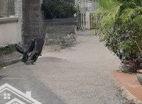 Bán Đất Bát Khối Long Biên, Ô Tô 7 Chỗ Thông Sổ Đỏ Vuông Đẹp