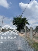 Chủ Cần Tiền Nên Bán Gấp Đất Tại Trần Văn Mười, 2,7 Tỷ, 100M2, Hóc Môn, Hồ Chí Minh