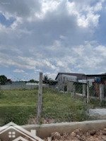 Chủ Cần Tiền Nên Bán Gấp Đất Tại Trần Văn Mười, 2,7 Tỷ, 100M2, Hóc Môn, Hồ Chí Minh