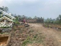 Giá Chỉ Có 650 Trdiện Tích110 M Fun Tc Nhập Khẩu Ngay Tại Hà Nội
