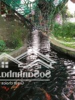 Vip !!! Khu Đất 3000M2, 2 Mặt Tiền Mỗi Mặt Dài 50M, Có Sẵn Nhà Vườn Đẹp, Tp Phổ Yên, Giá Bán 8.3 Tỷ.