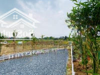 Đất Vườn 1000M Vị Trí Vàng Cho Nhà Đầu Tư Sành