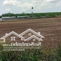 Bán Lô Đất Đẹp Mua Kinh Doanh Có Lời Cao