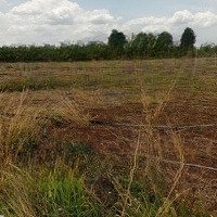 Bán Lô Đất Đẹp Mua Kinh Doanh Có Lời Cao