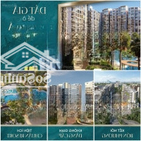 Tt 20% - Căn Đẹp Vip - Tặng Suất Đỗ Ô Tô Định Danh + 12Th Pql