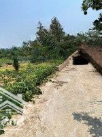 Bán Đất Gần Khu Đấu Giá Và Đường Dh10 Tân Xã Ngay Sát Trục Chính Thôn 6, Giá Chỉ Hơn 2 Tỷ