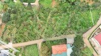 Chính Chủ Gửi Bán Lô Đất 2M Mặt Tiền Diện Tích:319M Thổ Cư 150M Tại Vân Hòa Ba Vì Hà Nội