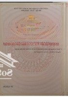 Xã Lý Nhơn, Huyện Cần Giờ, Tp. Hcm. Đất Nền Chính Chủdiện Tích1113,3M2