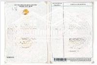 Bán Đất Xã Lý Nhơn, Cần Giờ Hcm (Chính Chủ)