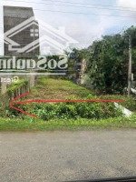 Bán Đất Tại Xã Bình Hòa Hưng, Đức Huệ, Long An, Giá Thỏa Thuận, 624M2, View Đẹp