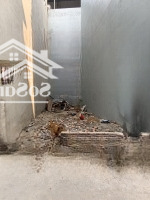 Bán Đất Quang Trung Hà Đôngdiện Tích32M X Đất Xmặt Tiền3,8M Giá Bán 5,2 Tỷ Có Thương Lượng