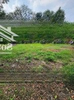 Bán Nhà Riêng Tại Đường Tân Hiệp 18A, Tân Hiệp, Hóc Môn, Tp.hcm, 13,5 Tỷ, 1500M2
