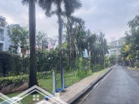 Ngôi Nhà Mơ Ước Quận Trung Tâm Bình Thạnh Với Thiên Nhiên Xanh Và Nhiều Tiện Ích Đường Đặng Thuỳ Tr