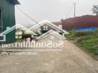 Ban Đầu Đấu Giá Đa Đống Bình Minh Huyện Thanh Oai