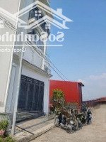 Ban Đầu Đấu Giá Đa Đống Bình Minh Huyện Thanh Oai