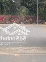 Chủ Cần Bán 113.6M2 Tại Đồng Trạng, Cổ Đông, Sơn Tây Gái Rẻ Nhất Khu, 0383181389