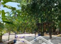 Bán 2368M2 Đất (1368M2 Thổ) Đường Dương Công Khi, Hóc Môn, Giá Chỉ 60 Tỷ