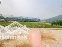 Chính Chủ Gửi Bán 85.1M Mặt Tiền 6.42M Đẹp Nhất Xã Phú Mãn Quốc Oai Giá Chỉ Nhỉnh 2 Tỷ. 0383181389