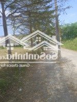 Bán Lô Đất Full Thổ Cư 138Mmặt Tiềnđường 6M Nguyễn Đình Kiên Tân Nhựt Bình Chánh