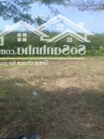 Bán Lô Đất Full Thổ Cư 138Mmặt Tiềnđường 6M Nguyễn Đình Kiên Tân Nhựt Bình Chánh