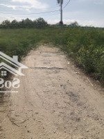 Bán Đất Tại Trần Quang Đạo, 2,5 Tỷ, 333 M2, Có 170M Tcu Xã Bình Khánh , Gần Đường Xe Hơi
