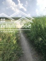 Bán Đất Tại Trần Quang Đạo, 2,5 Tỷ, 333 M2, Có 170M Tcu Xã Bình Khánh , Gần Đường Xe Hơi