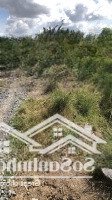 Bán Đất Rừng Sác, 3 Tỷ, 1100M2, Pháp Lý Đầy Đủ, Giá Ưu Đãi Hot!