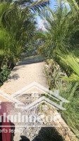 Bán Đất Rừng Sác, 3 Tỷ, 1100M2, Pháp Lý Đầy Đủ, Giá Ưu Đãi Hot!