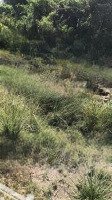 Bán Đất Rừng Sác, 3 Tỷ, 1100M2, Pháp Lý Đầy Đủ, Giá Ưu Đãi Hot!