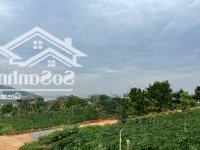 Bán Đất Tại Đông Thanh, Lâm Hà, Lâm Đồng, 1,69 Tỷ, 604 M2, Đẹp, Nhiều Tiện Ích
