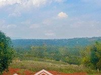 Bán Đất Tại Nam Ban, Lâm Hà, Lâm Đồng, 1,5 Tỷ, 579 M2