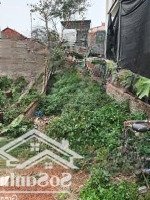 Bán Đất 60M2 Tại Xã Hiền Ninh, 1,4 Tỷ, View Đẹp, Pháp Lý Đầy Đủ