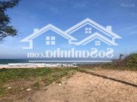 Bán Đất Mặt Biển Hòn Rơm Mũi Né Đất Biển Phan Thiết Giá Tốt Đầu Tư Sinh Lời Cao