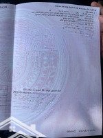 Tài Chính 2.9 Tỷ Sở Hữu Lô Đất Full Thổ Cư Ngõ Thông Tại Vĩnh Tuy, Liên Nghĩa