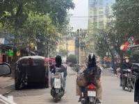 Mặt Phố Đền Lừ - Hoàng Mai- Lô Góc- Kinh Doanh Đỉnh Nóc -55M2- 400 Triệu/M2