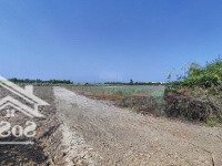 Mặt Tiền Đường Liên Cảng Phước Khánh Cực Kì Rẻ