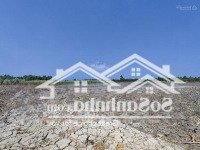 Mặt Tiền Đường Liên Cảng Phước Khánh Cực Kì Rẻ