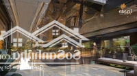 Mở Bán Siêu Phẩm Bên Sông Đồng Nai, Fresia Riverside Căn Hộ Cao Cấp Giá Bình Dân, Dự Kiến 33 Triệu/M2