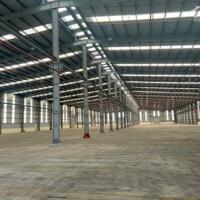 Hiện tại đang còn cho thuê 29.000m2 đất có 10.000m2 kho nhà xưởng khu công nghiệp Chu Lai, Quảng Nam.