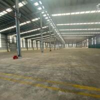 Hiện tại đang còn cho thuê 29.000m2 đất có 10.000m2 kho nhà xưởng khu công nghiệp Chu Lai, Quảng Nam.