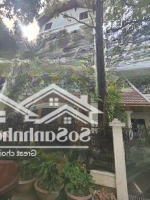 Bán Căn Biệt Thự Phố Dịch Vọng Phân Lô Oto Tránh Dừng Đỗ Hầm Để Xe Trong Nhà Vị Trí Quan Chức