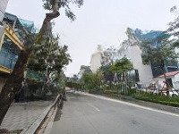 Nhà Mặt Phố Đẹp Xuất Sắc Tại Lạc Long Quân, 28,9 Tỷ, 45M2