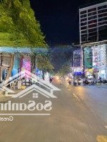 Mặt Tiền Kinh Doanh Khu Vip Lê Văn Sỹ Trần Quang Diệu 100M Hđ Thuê ~ 150 Triệu/Tháng Ngang 6M 0961999283